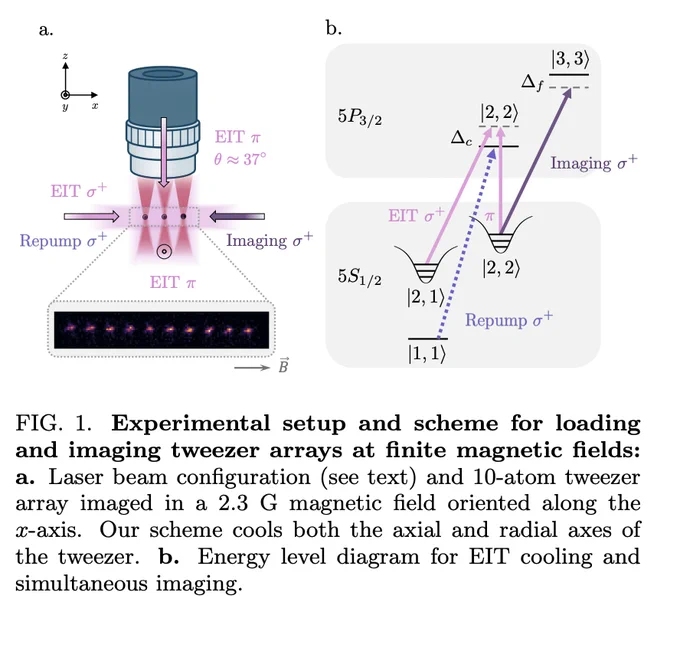Technical illustration from preprint titled: "Loading and Imaging Atom Arrays via Electromagnetically Induced Transparency"