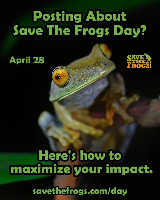 Save The Frogs Day