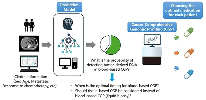 An illustration of how the predictive model developed by the researchers can be used.
Provided by Assistant Professor Ikushima of the University of Tokyo