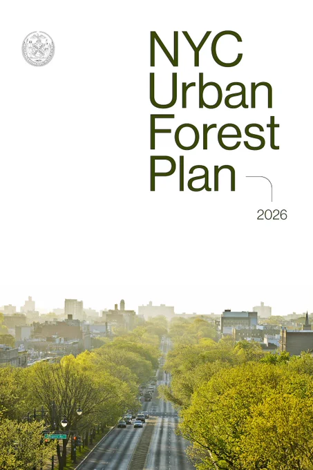 Aerial view of a tree-lined street in New York City under bright sunlight, highlighting urban greenery. You can read NYC Urban Forest Plan 2026 