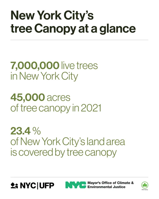 New York City's tree Canopy at a glance 7 million live trees in New York City 45,000 acres of tree canopy in 2021 23.4% of New York City's land area under is covered by tree canopy 