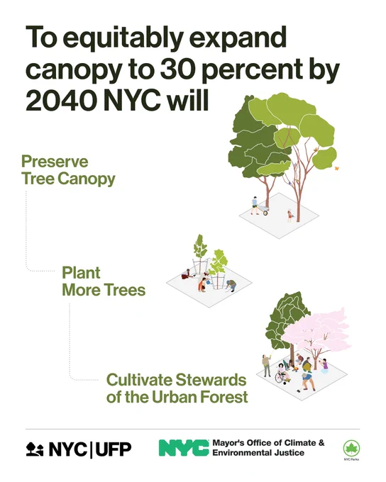 Infographic showing NYC's plan to increase tree canopy to 30% by 2040 through preservation, planting, and community stewardship.