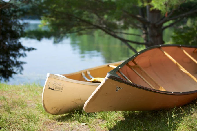 Two beige canoes sat on a grassy shore near a body of water.
