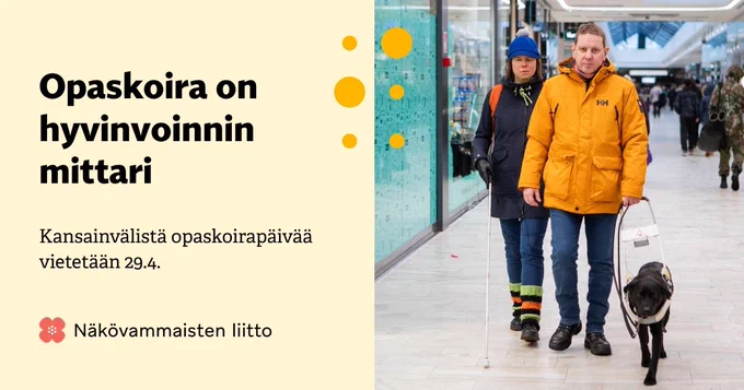 Opaskoirankäyttäjä kulkee asemalla koiran ja toisen näkövammaisen henkilön kanssa. Teksti: Opaskoira on hyvinvoinnin mittari.