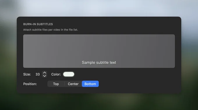 Subtitle settings interface showing options for size, color, and position. Sample text indicates where subtitles appear in a video.