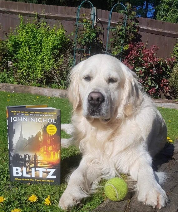 Ralph the golden retriever lying on the lawn with his tennis ball & a copy of the book 