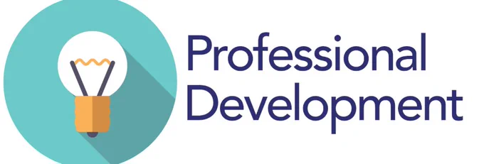 professional development text