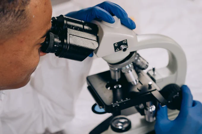 Black scientist examines samples using a microscope in the laboratory.