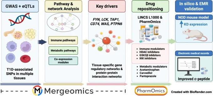 Blencowe graphical abstract