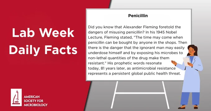 Did you know that Alexander Fleming foretold the dangers of misusing penicillin? In his 1945 Nobel Lecture, Fleming stated, "The time may come when penicillin can be bought by anyone in the shops. Then there is the danger that the ignorant man may easily underdose himself and by exposing his microbes to non-lethal quantities of the drug make them resistant." His prophetic words resonate today, 81 years later, as antimicrobial resistance represents a persistent global public health threat.