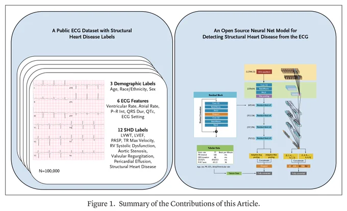 Figure 1. Summary of the Contributions of this Article.