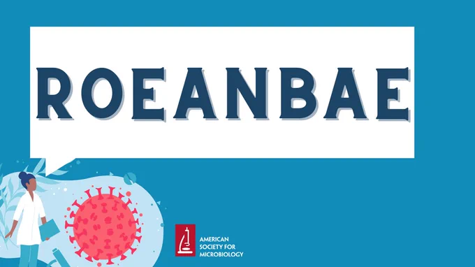 Time for a break! Take 5 minutes to solve today’s microbiology anagram! 

ROEANBAE

Unscramble the word and post your answer below!
Did you get yesterday’s answer? *drum emoji* Pipette! 

#ASMClinMicro #Lab4Life #LabWeek 