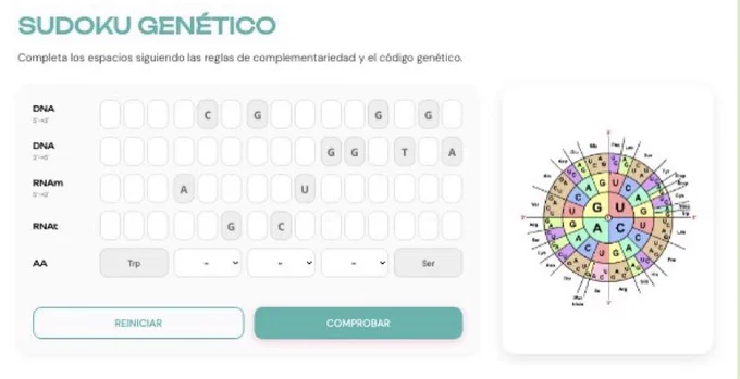 Sudoku genético, juego reciclable sobre transcripción y traducción