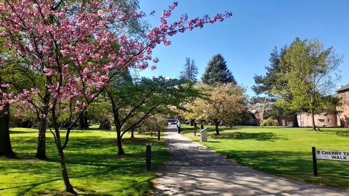 Cherry Tree Walk at Keele 