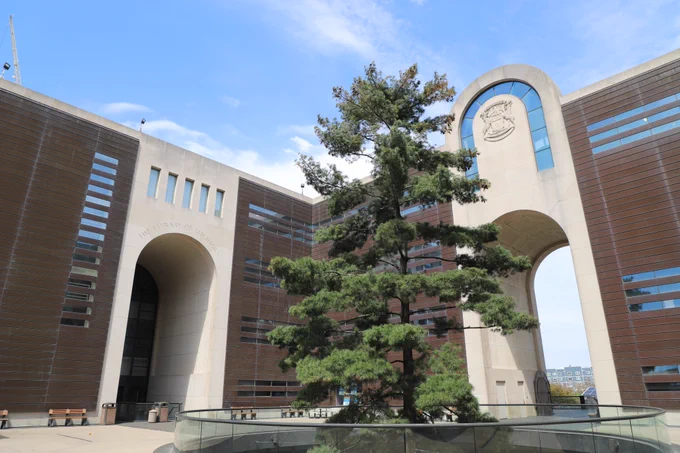 #CarlTheTree in the Michigan Library and Historical Center courtyard.
