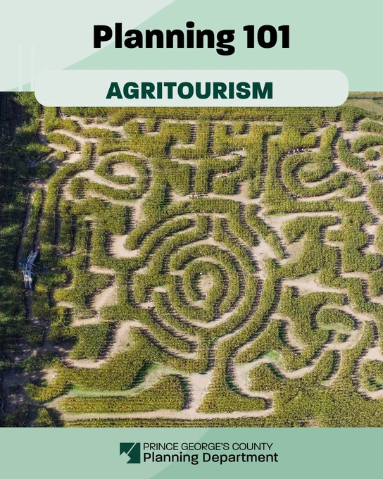 aerial view of a corn maze, which is an example of agritourism