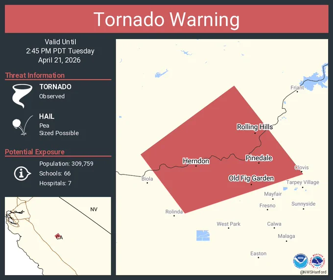 This graphic displays a tornado warning plotted on a map. The warning is in effect until 2:45 PM PDT. The warning includes Old Fig Garden CA, Rolling Hills CA and Fort Washington CA.  This warning is for Southwestern Madera and Northwestern Fresno Counties. The threats associated with this warning are a observed tornado and pea sized hail. There are 309,759 people in the warning along with 66 schools and 7 hospitals.