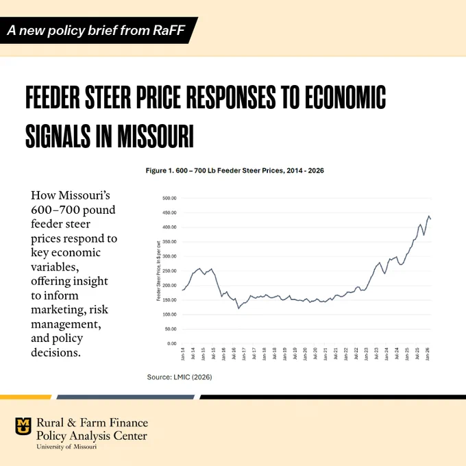 A graphic from the Rural and Farm Finance Policy Analysis Center that announces the availability of a new policy brief: Feed Steer Price Responses to Economic Signals in Missouri. Included in the graphic is a chart that shows 600-700 lb. Feeder Steer Prices from 2014 to 2026 (Source: LMIC 2026).