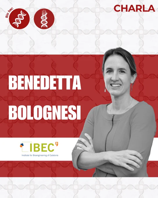 Nos hace muchísima ilusión anunciar que la Dra. Benedetta Bolognesi será una de las protagonistas en la próxima edición de 𝗕𝗔𝗖 𝗕𝗮𝗿𝗰𝗲𝗹𝗼𝗻𝗮 𝟮𝟬𝟮𝟲. 🧬✨

Benedetta es investigadora principal en el Instituto de Bioingeniería de Cataluña (𝗜𝗕𝗘𝗖) desde 2019. Doctora en Química por la Universidad de Cambridge y ex becaria Marie Curie en el CRG, lidera investigaciones sobre mutaciones genéticas y plegamiento de proteínas. Su excelencia científica ha sido reconocida con una ayuda ERC Consolidator y el prestigioso premio de salud de Fundación “la Caixa”.
✨ Ciencia de vanguardia para transformar el diagnóstico y el futuro de la medicina.

📍 𝗥𝗲𝘀𝗲𝗿𝘃𝗮 𝗹𝗮 𝗳𝗲𝗰𝗵𝗮 𝘆 𝗻𝗼 𝘁𝗲 𝗾𝘂𝗲𝗱𝗲𝘀 𝘀𝗶𝗻 𝘁𝘂 𝗽𝗹𝗮𝘇𝗮
🔗 𝗜𝗻𝘀𝗰𝗿𝗶́𝗯𝗲𝘁𝗲 𝗮𝗾𝘂𝗶́: https://lnkd.in/eH2ZeFRY

🙌 ¡Seguimos anunciando nuevos ponentes y más novedades!