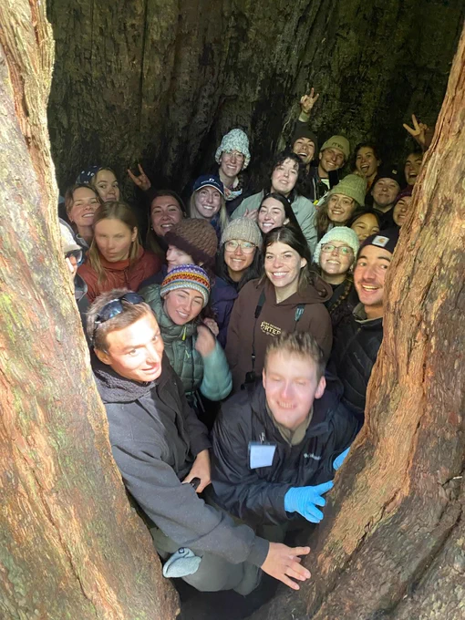 Thirty-five smiling Cal Poly students are seen inside the hollow base of a massive redwood tree during a Field Quarter trip in Northern California, illustrating the scale of the tree.