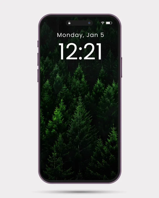 #forest #pineforest #wallpaper #background #iphonewallpaper