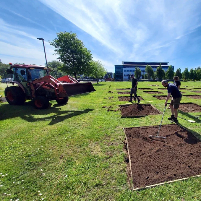 People preparing rectangular soil plots on a grassy field under a blue sky with a tractor nearby.