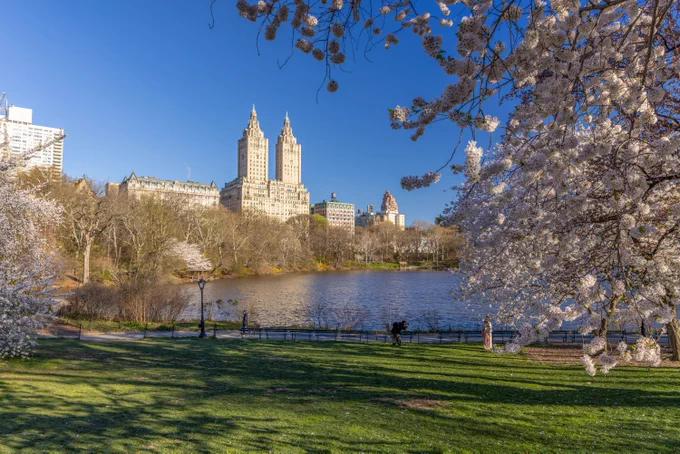 Cherry Hill and the Lake in Central Park.