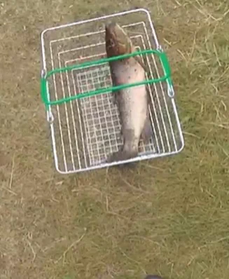 The seized sea trout was found in a supermarket shopping trolley. 

Darren Lascelles, 50, of Cheltenham Road and Ben Thomas Taylor, 43, of Kingsland Square have been successfully prosecuted by the Environment Agency for using an unlicenced gill fishing net to catch the fish. 