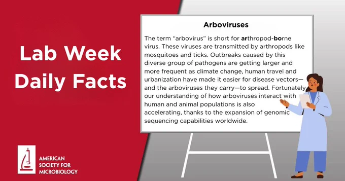 Arboviruses
The term “arbovirus” is short for arthropod-borne virus. These viruses are transmitted by arthropods like mosquitoes and ticks. Outbreaks caused by this diverse group of pathogens are getting larger and more frequent as climate change, human travel and urbanization have made it easier for disease vectors—and the arboviruses they carry—to spread. Fortunately, our understanding of how arboviruses interact with human and animal populations is also accelerating, thanks to the expansion of genomic sequencing capabilities worldwide.
