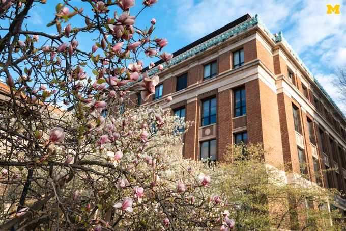 Flowers beginning to bloom on trees on U-M’s Central Campus.