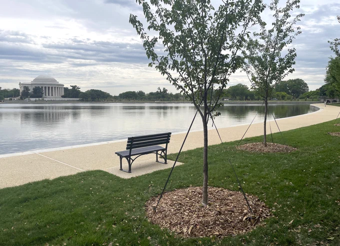 A black bench sits next to a grassy lawn and a curving path running along the Tidal Basin with the Jefferson Memorial on the opposite shore.