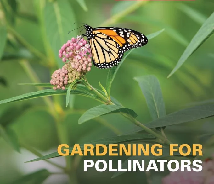 Promotional image for Iowa State University Extension and Outreach's "Gardening for Butterflies and Pollinators" publication.