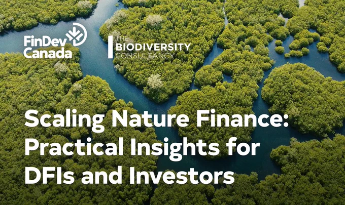 Scaling nature finance: Practical insights for DFIs and investors.