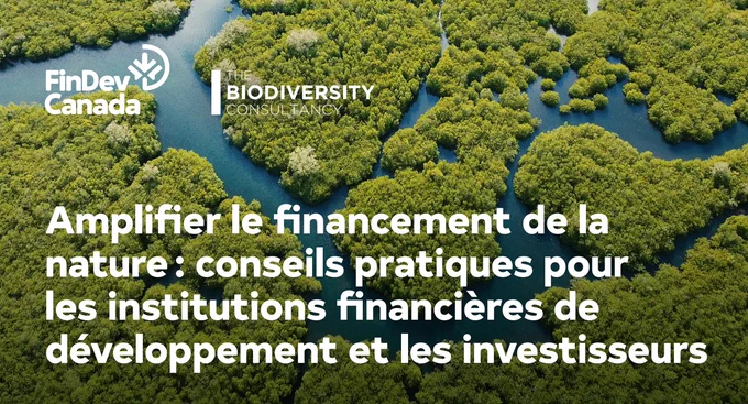 Amplifier le financement de la nature : conseils pratiques pour les institutions financières de développement et les investisseurs