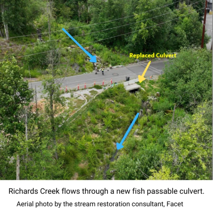 Drone Photo of Richards Creek