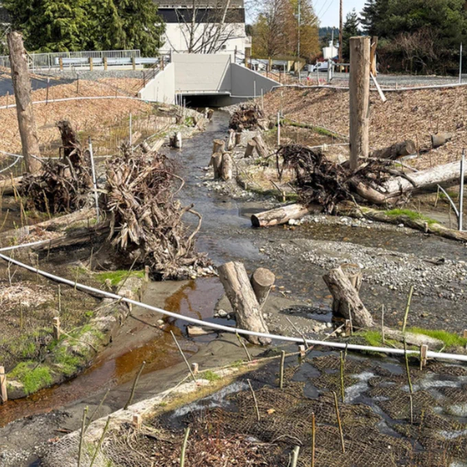 Looking at the culvert at Willows Creek
