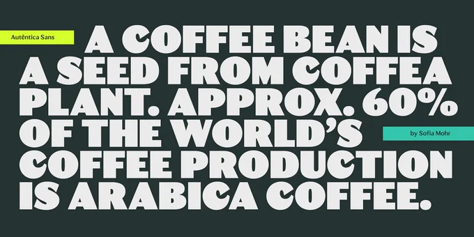 Autêntica Sans by Sofia Mohr is a new font available on MyFonts.com, an incredible marketplace for designers to find fonts from major and independent type foundries, with new releases and frequent sales.