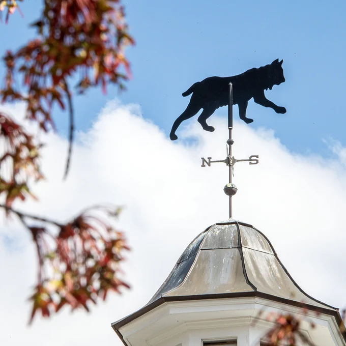 Bobcat wind vane seen through pink flowering trees