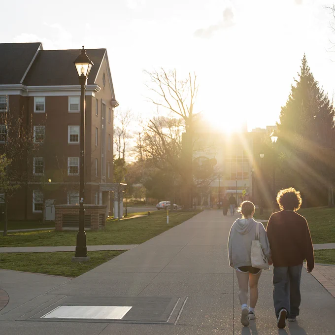 Students walking down a sidewalk on campus during sunset. The trees and grass look lush. 