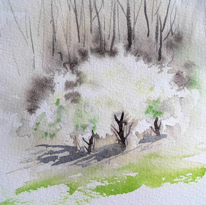 ​A delicate watercolor painting of a misty spring landscape. Soft, ethereal washes of white and pale green suggest a blossoming thicket or flowering trees in the center, contrasted by thin, dark vertical lines of bare winter trees in the background. In the foreground, a vibrant patch of lime green grass meets soft grey shadows cast by small, budding trees. The texture of the cold-press watercolor paper is visible through the light, translucent layers of paint.