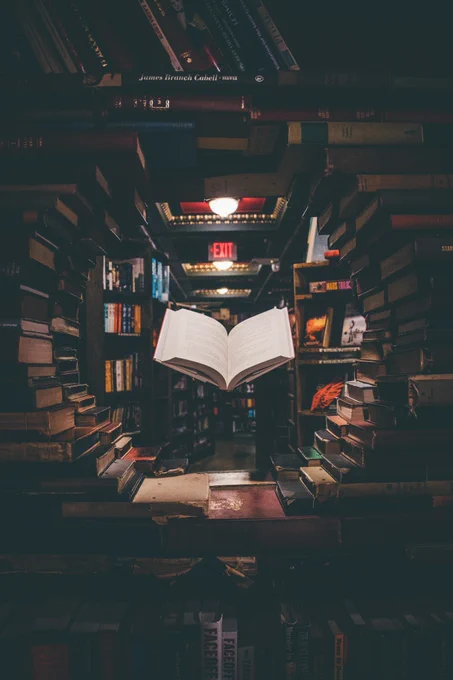 Foto de libros realizada por Jaredd Craig para Unsplash (https://unsplash.com/es/@jaredd)