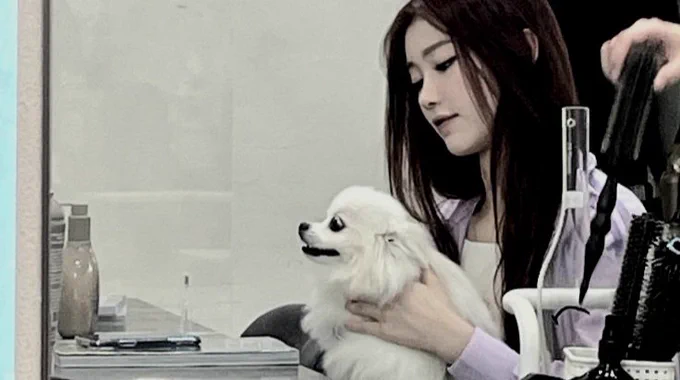 She's Alda, someone's dog. 