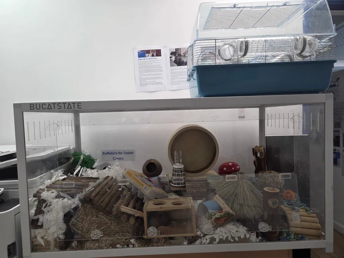 A hamster cage setup is displayed, featuring various tunnels, huts, and toys within a glass enclosure. A small blue plastic pet carrier is placed on top of the cage to illustrate the size difference between the enclosures.