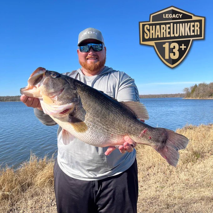 Man holds up big fish next to lake. Badge overlay says Legacy ShareLunker 13 