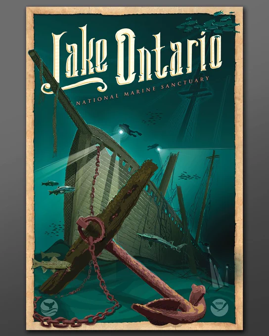 An illustration of an underwater shipwreck surrounded by divers, fish, and an anchor.