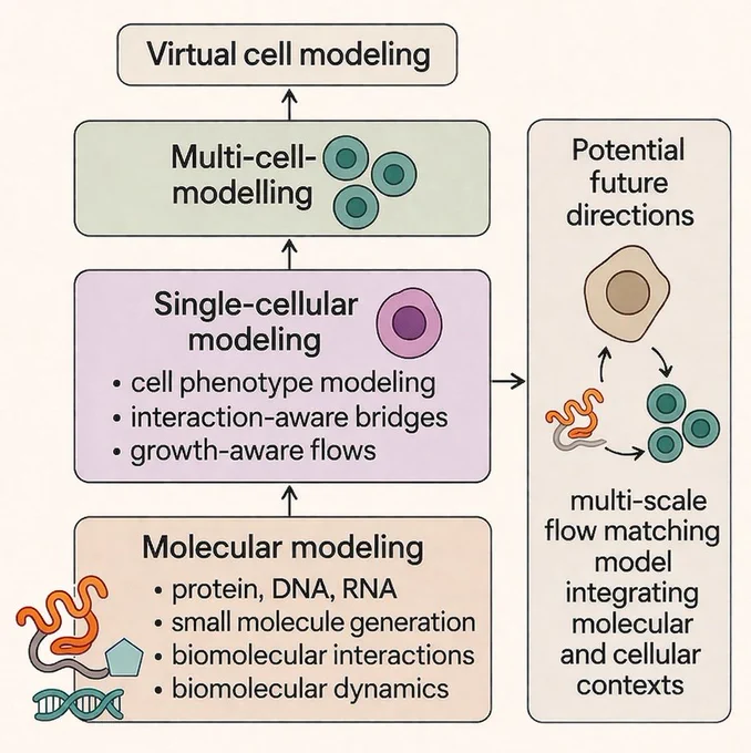 An overview of flow matching's generative AI applications in computational biology and virtual cell research.