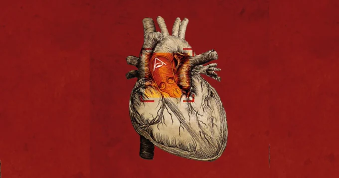 Illustration of human heart