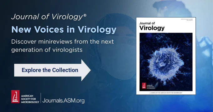 Introducing the 2026 Journal of Virology New Voices in Virology collection!