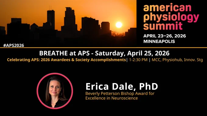 A promotional slide for the “american physiology summit” features a city skyline at sunset, with the event details "APRIL 23–26, 2026, MINNEAPOLIS" and the hashtag #APS2026. Event information reads: “BREATHE at APS - Saturday, April 25, 2026. Celebrating APS: 2026 Awardees & Society Accomplishments | 1-2:30 PM | MCC, Physiohub, Innov. Stg.” Featured awardee: “Erica Dale, PhD, Beverly Petterson Bishop Award for Excellence in Neuroscience.” A circular, partially blurred photo of Erica Dale is shown at the bottom left.
