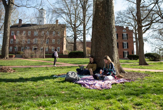 2 students lounging on college green working on laptops